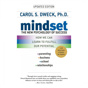 Mindset The New Psychology of Success - Top 5 CEO books for every leader