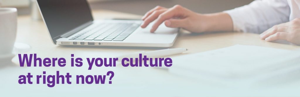 Where is your culture at right now? Click here for our 5 minute culture survey.